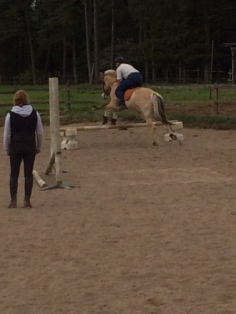 Ola Hartman hoppar med Filur under ledning av Lisa Horwitz, Knuts juni 2014